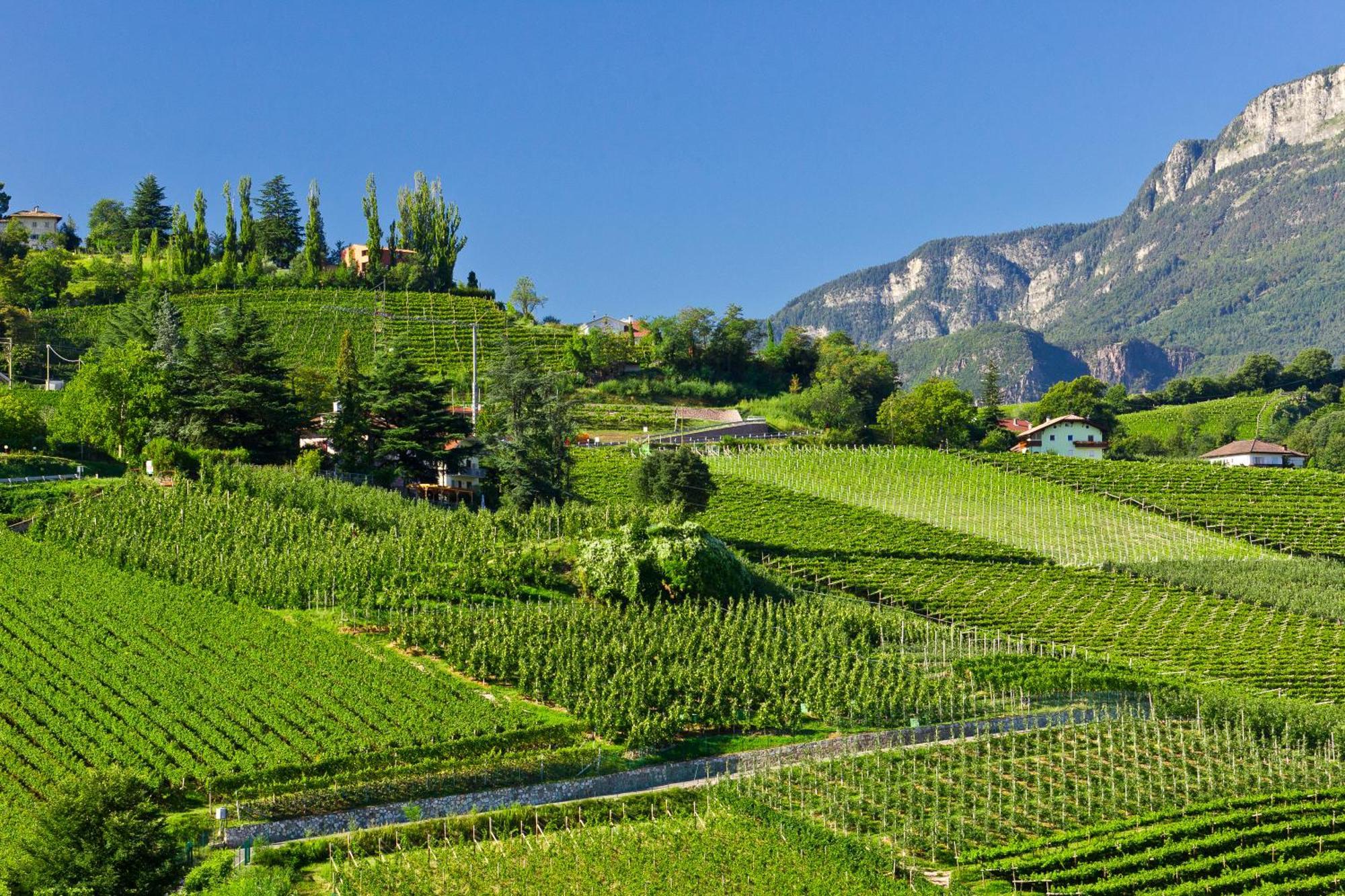 Belia Lofts - Adults Only - Apartments Appiano Sulla Strada Del Vino Εξωτερικό φωτογραφία